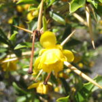 02-Laguna Aleusco-Marcia Rafael