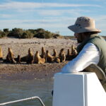 07-00-ISLAS Y FAUNA (13)