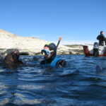 25-Buceo con lobos-Melina Perez
