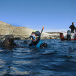 28-Buceo con lobos-Melina Perez