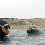 29-Buceo con lobos-Melina Perez