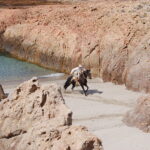 Bahia Bustamante (81)