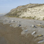 DJI_0083
