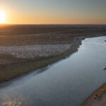 DJI_0438