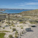DJI_0446