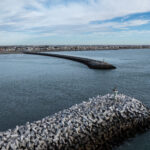DJI_0530