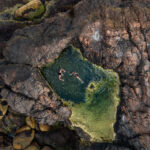 DJI_0551