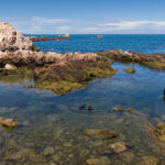 DJI_0695