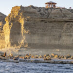 IMG_0002-Edit