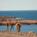 IMG_7936 copy