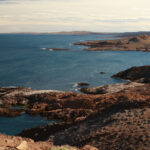 IMG_8018 copy