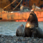 Playa Union - Lisandro Crespo 34