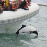 Rawson10_Mesa de trabajo 1