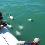 Rawson9_Mesa de trabajo 1