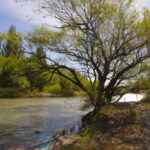 022 - Puente Río Sarmiento - Alicia Comes