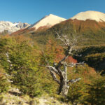 04-Rio Pico-Agustina Galli