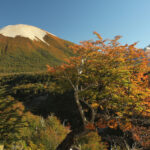 05-Rio Pico-Agustina Galli