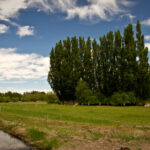 19-Sarmiento-Lisandro Crespo