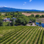 201908 viñas del nant y fall trevelin