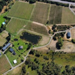 4DFC1CCB-8DE7-4768-8555-8EF633C77F4A_4_5005_c