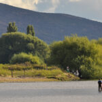 78-Vuelta del Rio - El Maiten-Carlos Mir