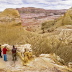 Bosque Petrificado, Sarmiento 10