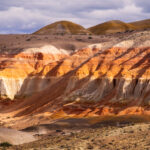 Bosque Petrificado, Sarmiento