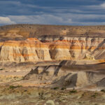 Bosque Petrificado Sarmiento 20