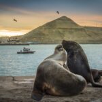 Copia de Banco de Fotografias-COMODORO TURISMO- (3)