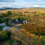 Copia de Vendimia 22 galeria-6