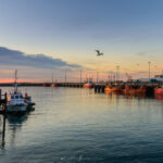 Copia de _DSC8883 (Grande)