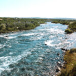 Corcovado o carreleufu