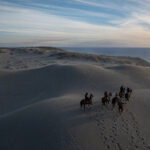 DJI_0588