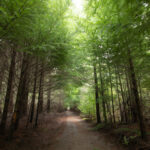 LAGO PUELO 2022 - LISANDRO CRESPO-04