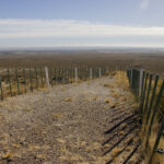 Las Bardas - Trelew - 013