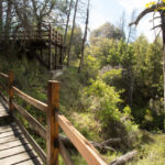 _ST_9973- Lisandro Crespo - Nant y Fall