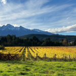 c972b09a-75ad-48a1-9d53-a50217ea4e17