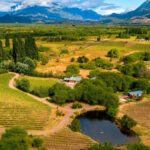 vinas-nant-fall-el-vinedo